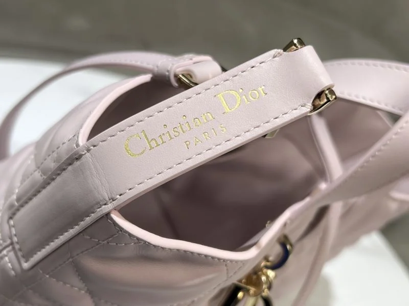 Supportive Christian Dior Shopping Bags 46835