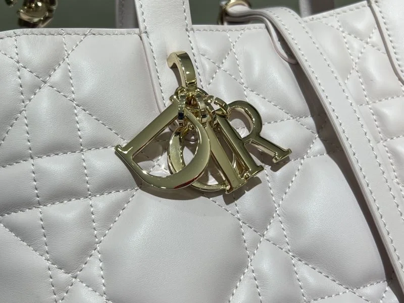 Supportive Christian Dior Shopping Bags 46835