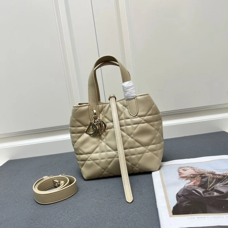 Colorful Christian Dior Shopping Bags 84251