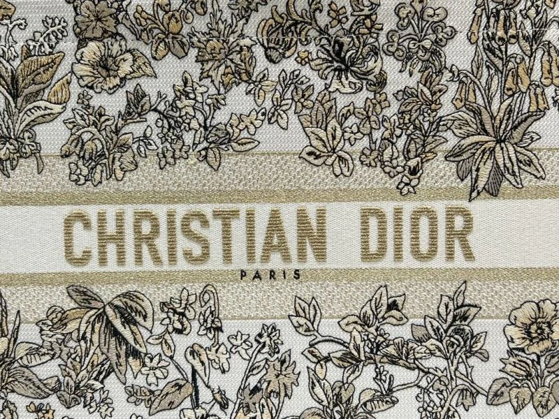NewStyle Christian Dior Shopping Bags 46259