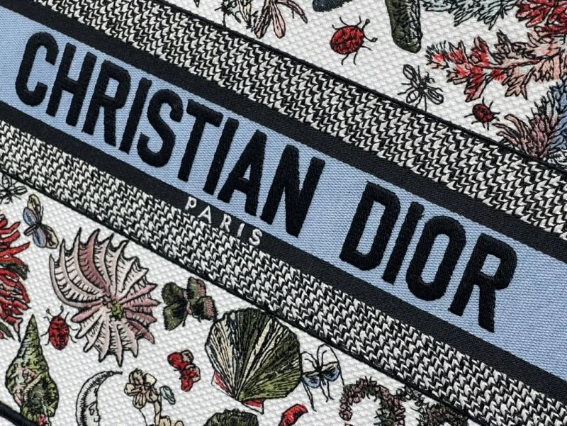 Christian Dior Shopping Bags Lightweight 46263