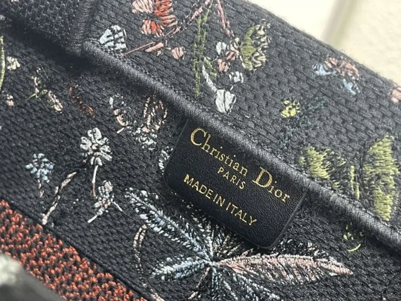 Colorful Christian Dior Shopping Bags 46258