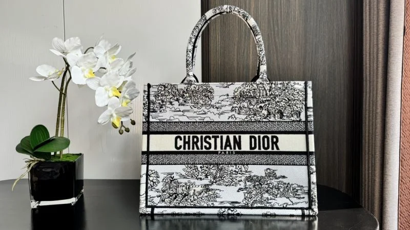 Christian Dior Shopping Bags Durable 46281
