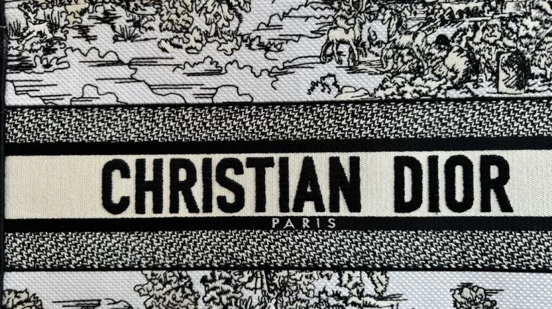 Christian Dior Shopping Bags Durable 46281