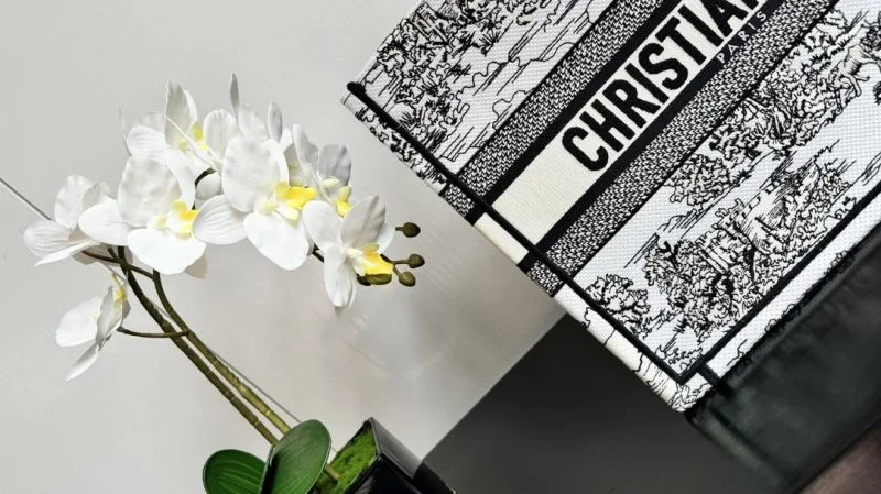 Christian Dior Shopping Bags Durable 46281