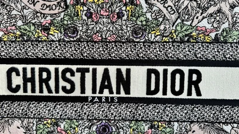 SmartChoice Christian Dior Shopping Bags 46255
