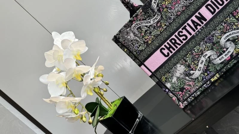 Sleek Christian Dior Shopping Bags 46257