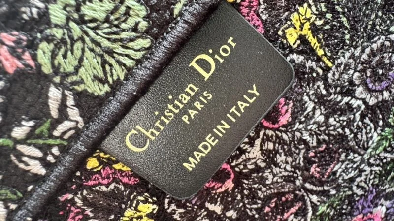 Sleek Christian Dior Shopping Bags 46257