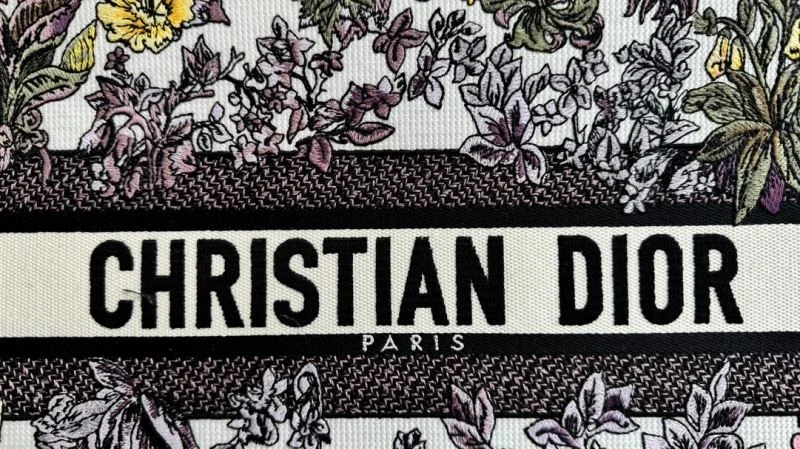 Christian Dior Shopping Bags Colorful 46256