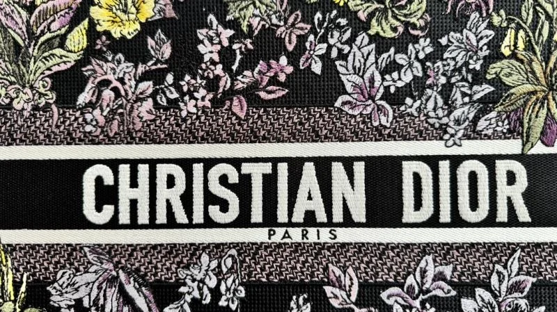 Christian Dior Shopping Bags Fashionable 46254