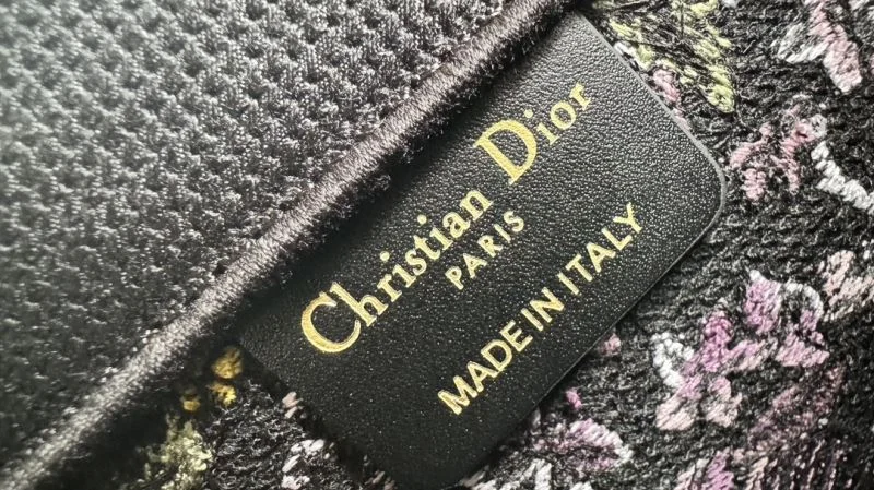 Christian Dior Shopping Bags Fashionable 46254