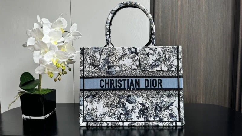 Bold Christian Dior Shopping Bags 46251