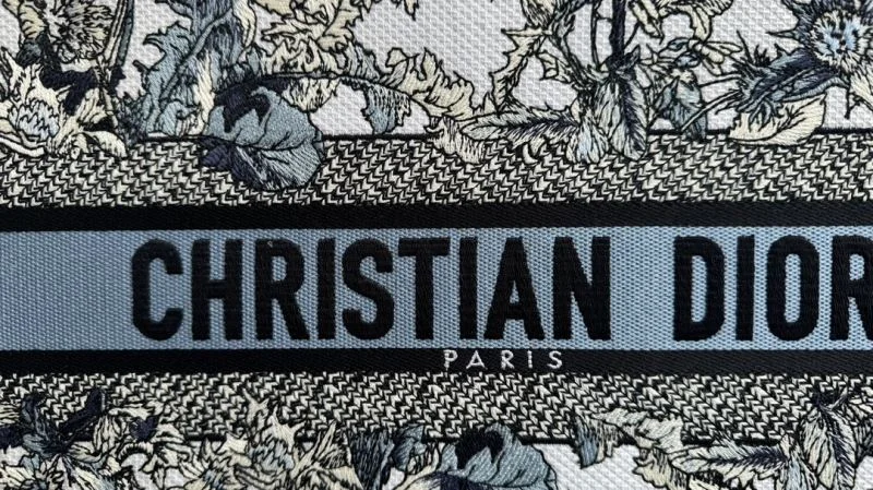 Bold Christian Dior Shopping Bags 46251