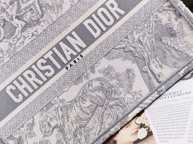 Christian Dior Shopping Bags Stylish 46228