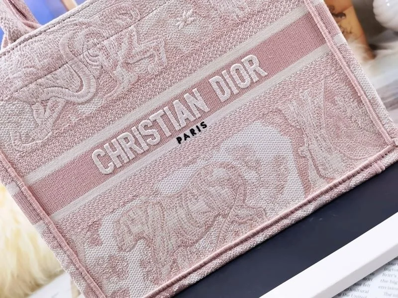 Christian Dior Shopping Bags Affordable 46220