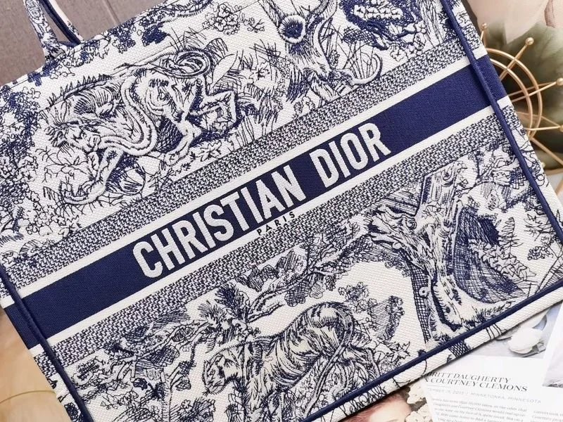 Lightweight Christian Dior Shopping Bags 46217