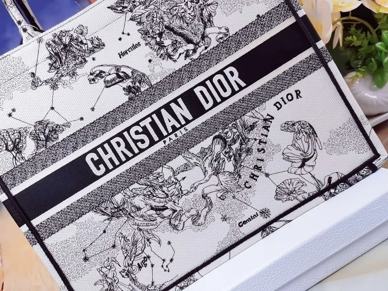 Christian Dior Shopping Bags Colorful 46208
