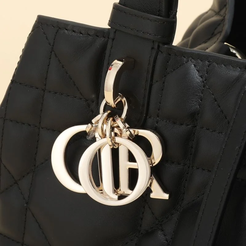 Snug Christian Dior Shopping Bags 46264