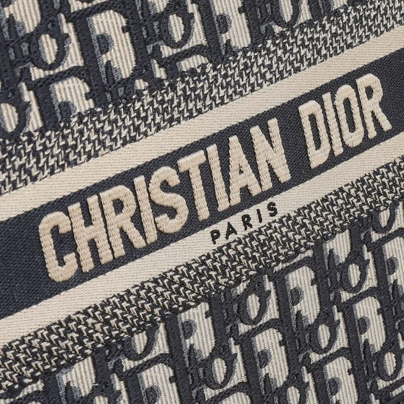 Premium Christian Dior Shopping Bags 46232