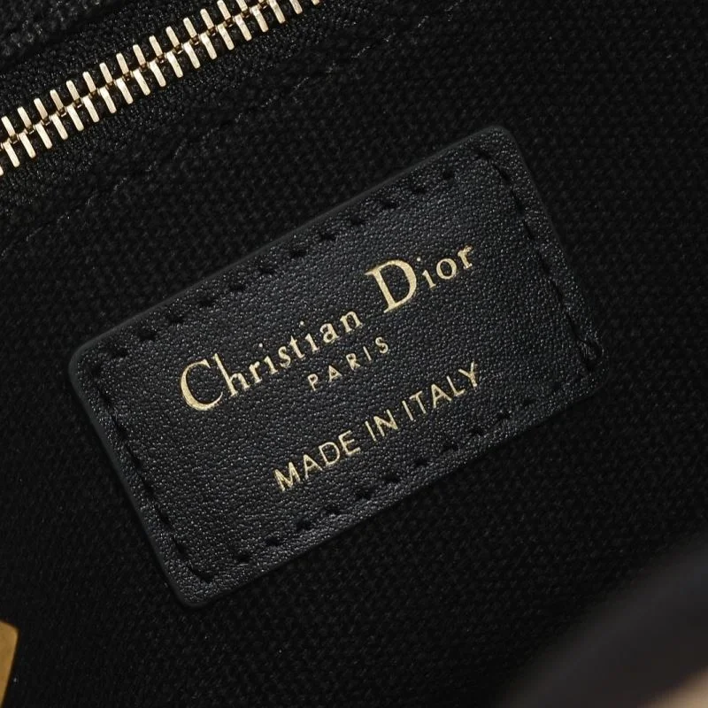 Premium Christian Dior Shopping Bags 46232