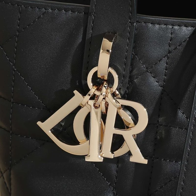 Flexible Christian Dior Shopping Bags 46187