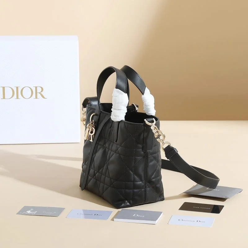 Flexible Christian Dior Shopping Bags 46187