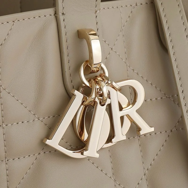 Christian Dior Shopping Bags Affordable 46218