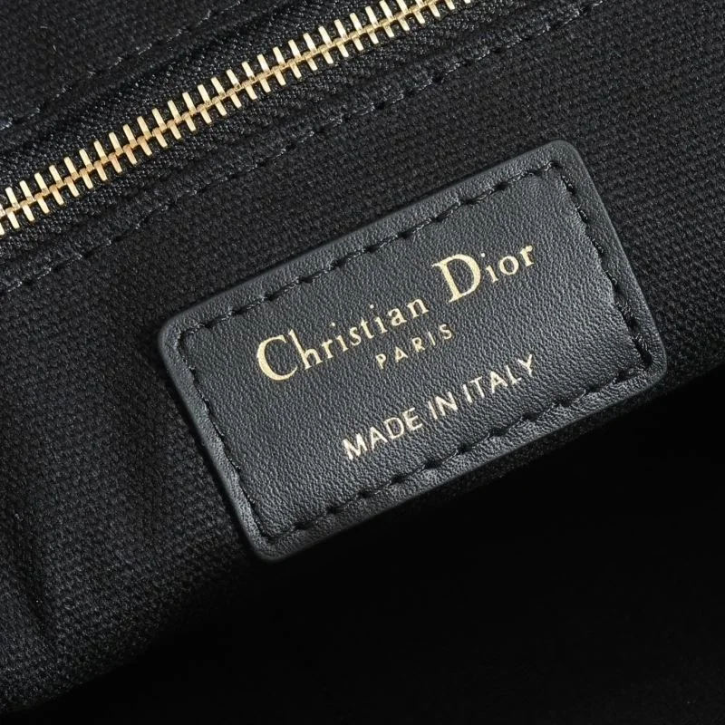 Christian Dior Shopping Bags EyeCatching 46182