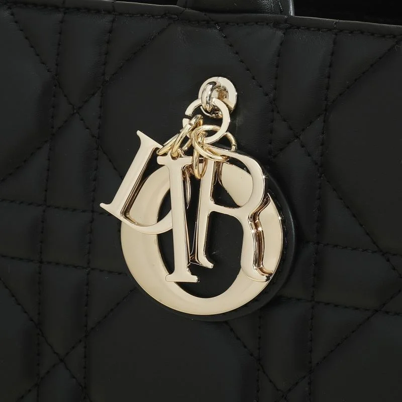 Tailored Christian Dior Shopping Bags 46179