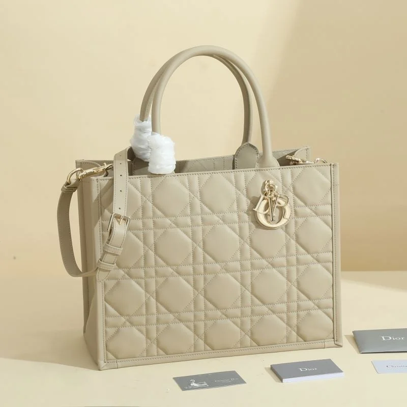 OdorResistant Christian Dior Shopping Bags 46178