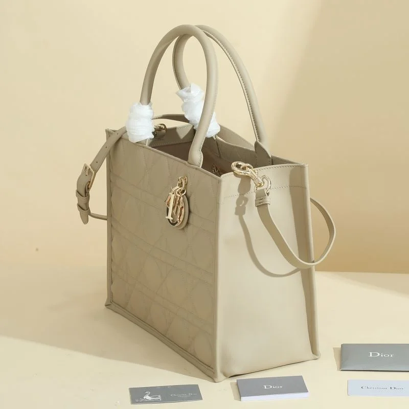 OdorResistant Christian Dior Shopping Bags 46178