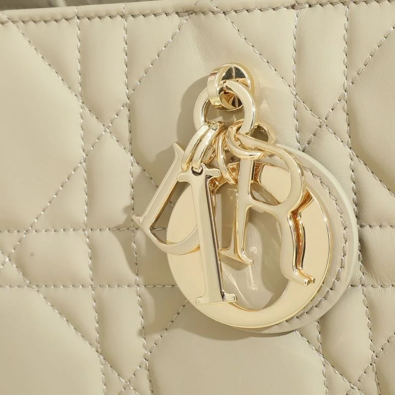 OdorResistant Christian Dior Shopping Bags 46178