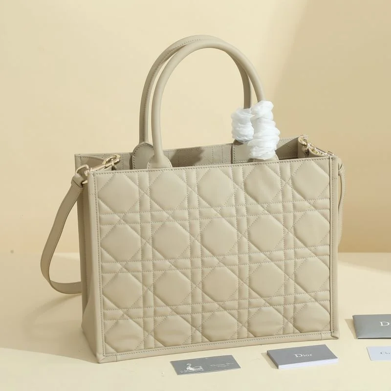 OdorResistant Christian Dior Shopping Bags 46178