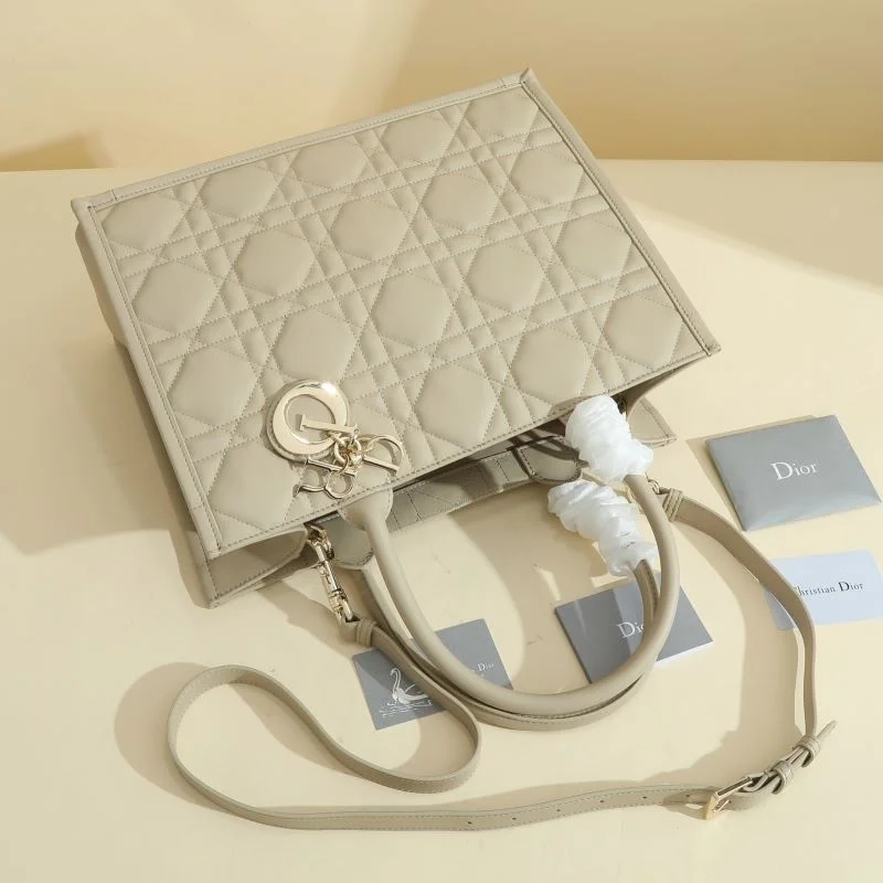 OdorResistant Christian Dior Shopping Bags 46178