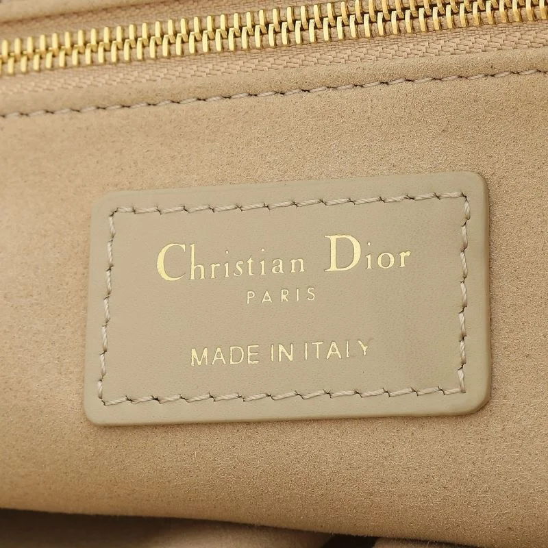 OdorResistant Christian Dior Shopping Bags 46178