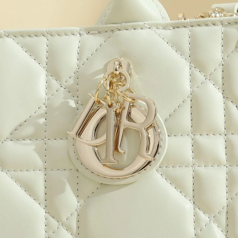 ZeroBulk Christian Dior Shopping Bags 46177