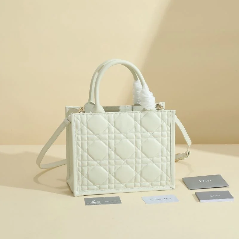 ZeroBulk Christian Dior Shopping Bags 46177