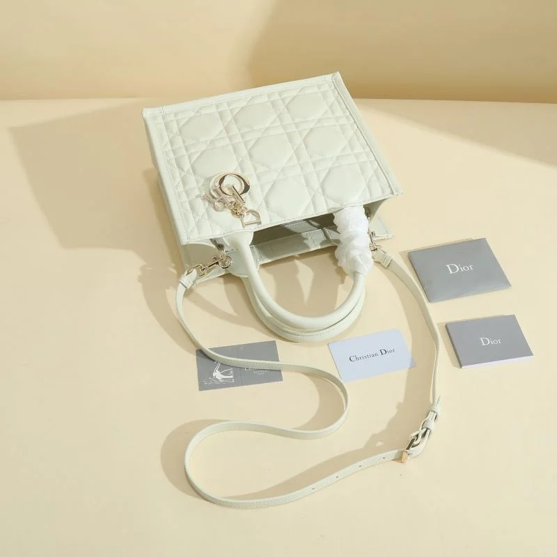 ZeroBulk Christian Dior Shopping Bags 46177