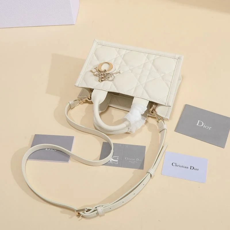 Resilient Christian Dior Shopping Bags 46171