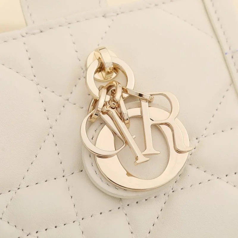 Resilient Christian Dior Shopping Bags 46171