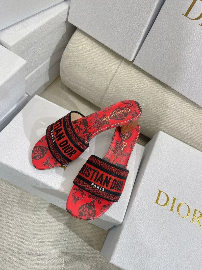 Cozy Christian Dior Slippers 21880