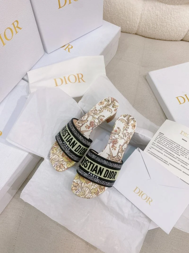 TechFriendly Christian Dior Slippers 21867
