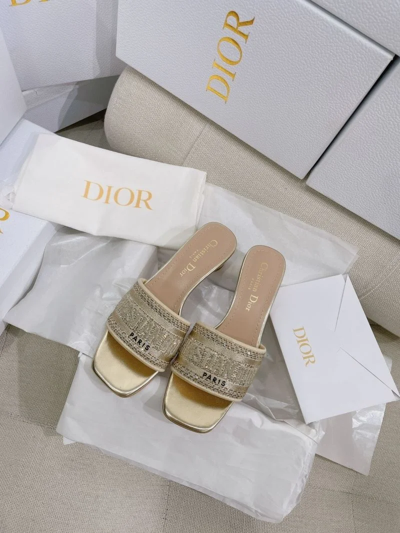 Christian Dior Slippers Durable 21851
