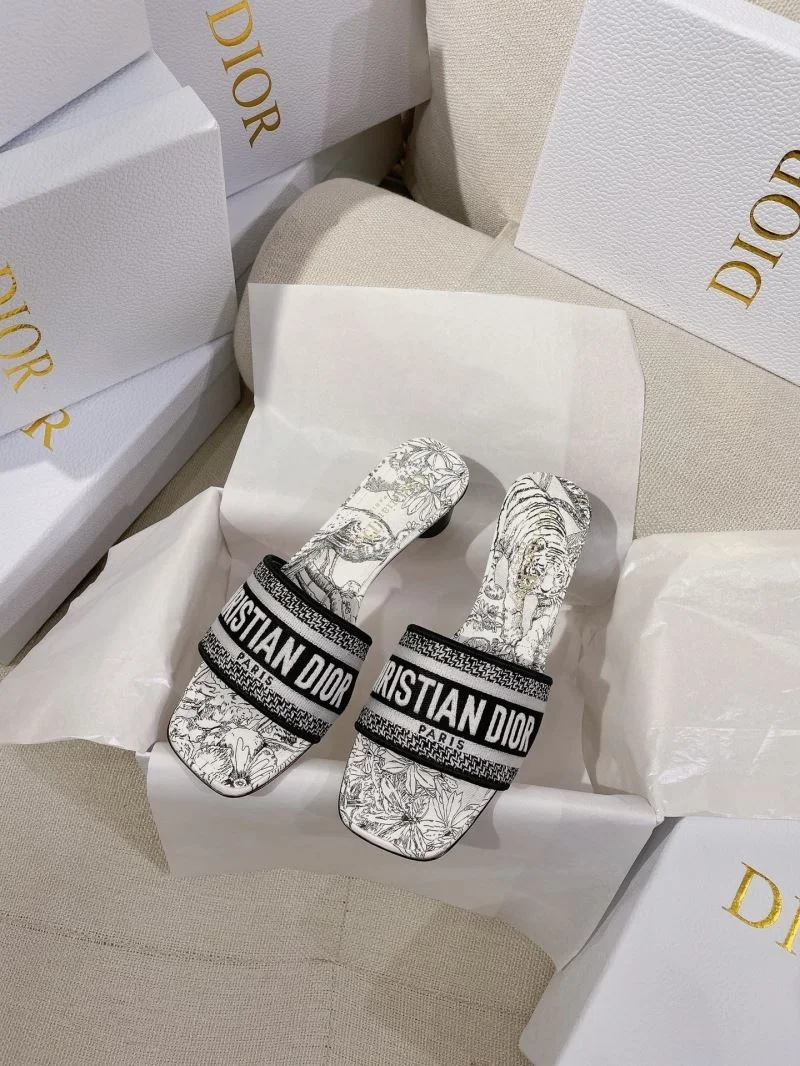 DailyWear Christian Dior Slippers 21825