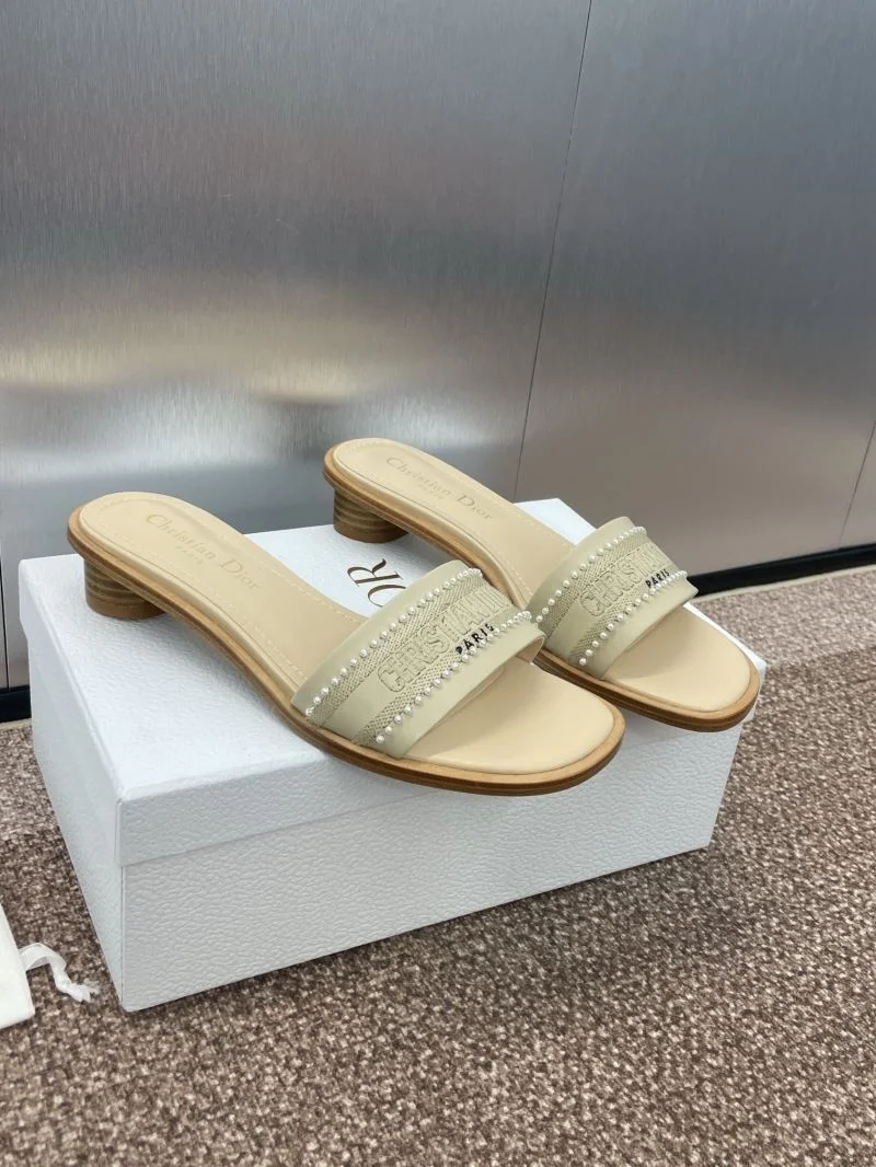 QuickDry Christian Dior Slippers 21765