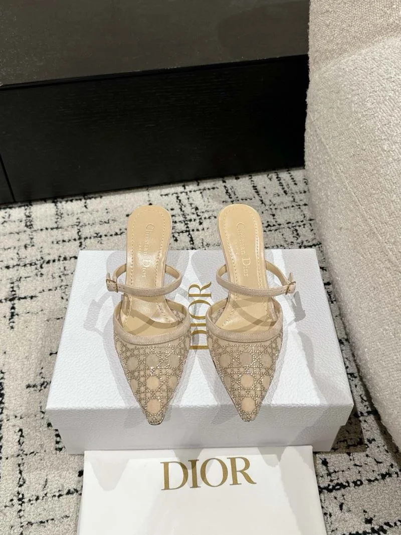 Christian Dior Slippers Vibrant 21712