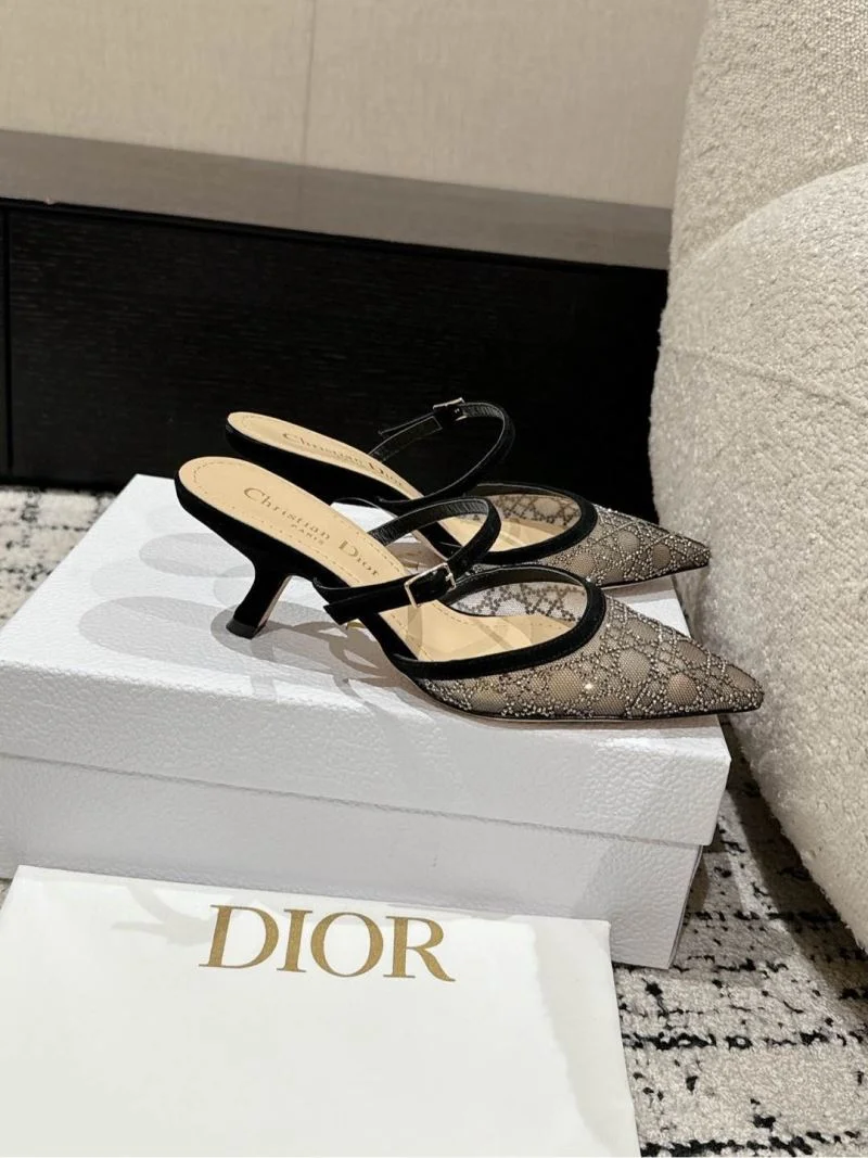 Vibrant Christian Dior Slippers 21707