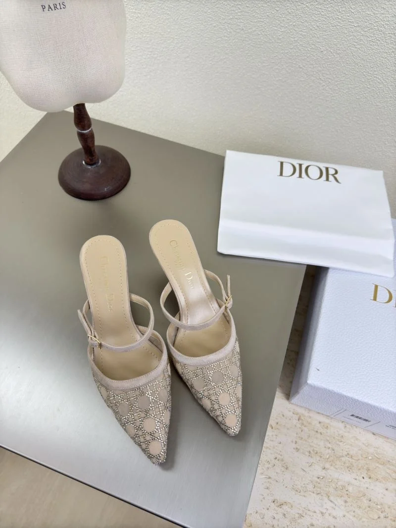 Chic Christian Dior Slippers 21407