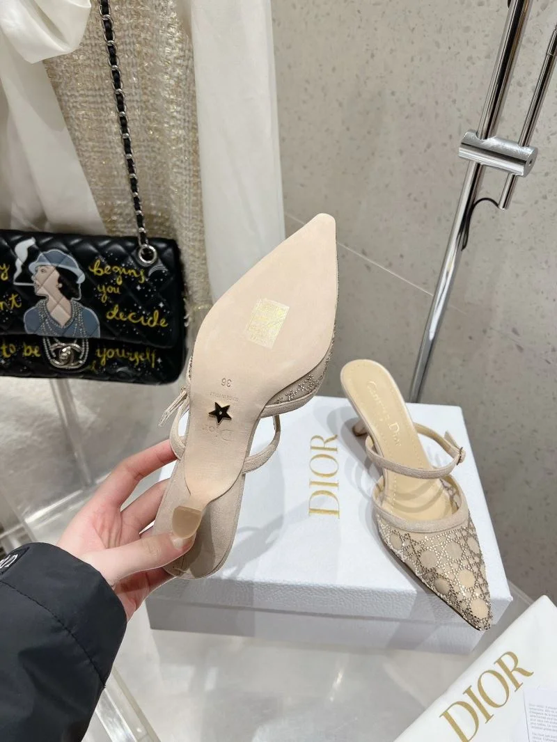 Christian Dior Slippers StreetReady 22503