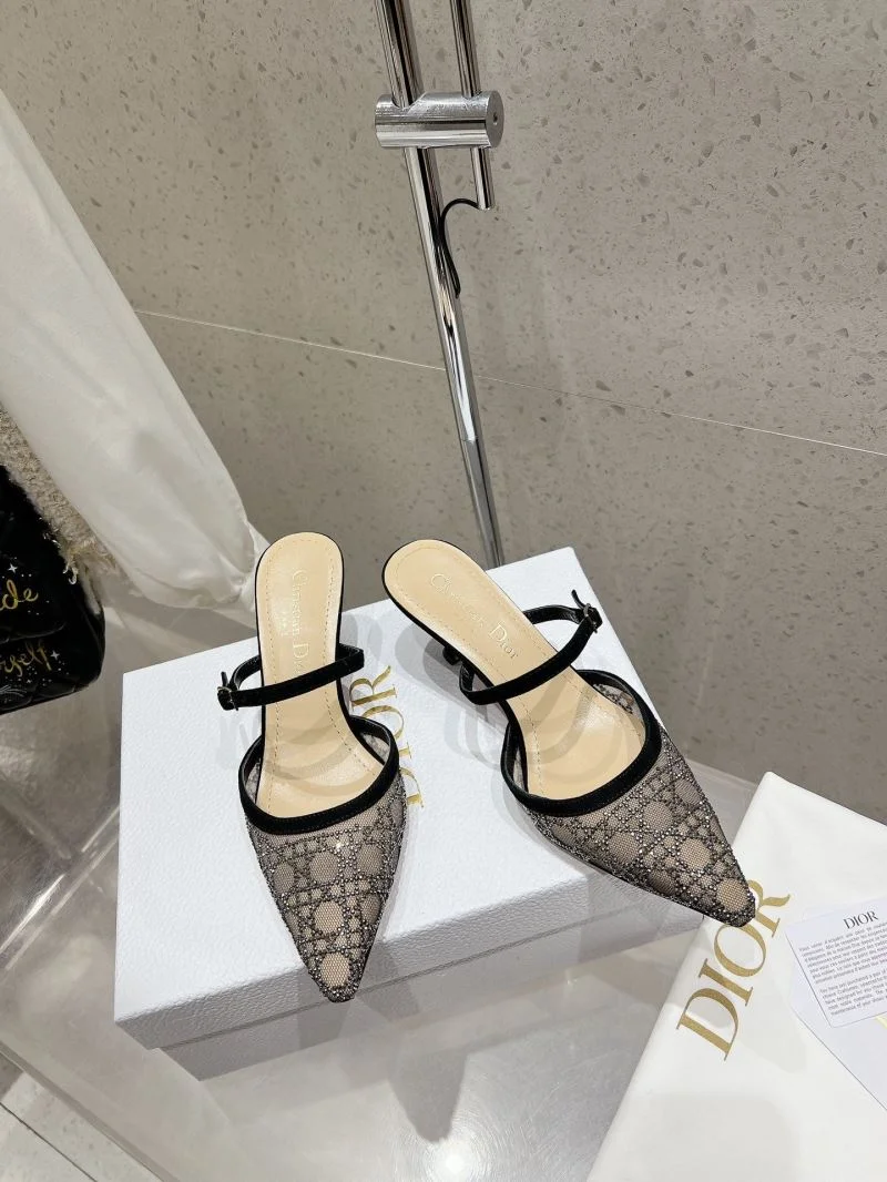 Bold Christian Dior Slippers 22506